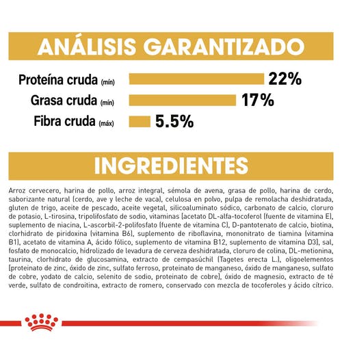 ROYAL CANIN PASTOR ALEMAN