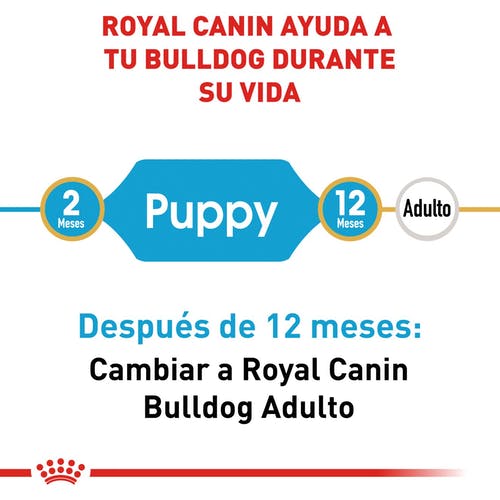 ROYAL CANIN BULLDOG PUPPY